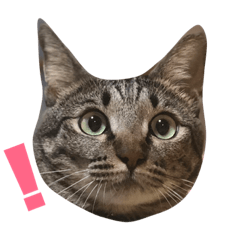 [LINEスタンプ] おまがりぐみさん