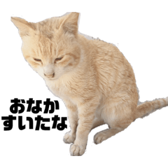 [LINEスタンプ] 動物シリーズ vol.1