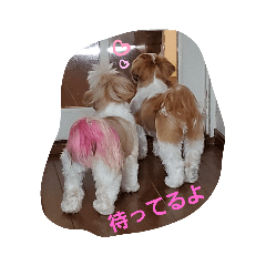 [LINEスタンプ] mocotam