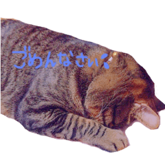 [LINEスタンプ] みゆ0000