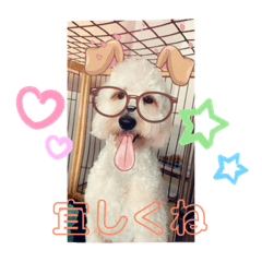 [LINEスタンプ] 愛犬のえるとのあ