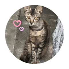[LINEスタンプ] 続にゃんず