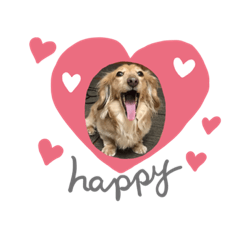 [LINEスタンプ] 毎日Mダックス❣️ナナ