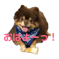 [LINEスタンプ] ちっぷまる。