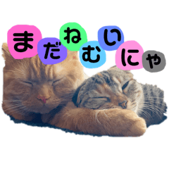 [LINEスタンプ] ぽん太とくるみ