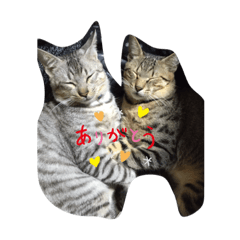[LINEスタンプ] 甘えんぼう