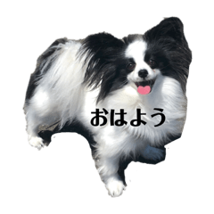 [LINEスタンプ] Watanabe 家
