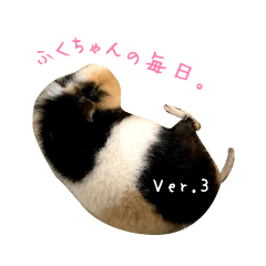 [LINEスタンプ] ふくちゃんの毎日。ver.3