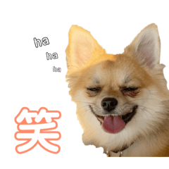 [LINEスタンプ] マルマルマルスタンプ3