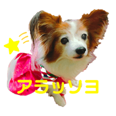 [LINEスタンプ] あげちょ。