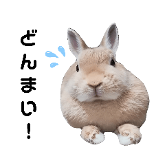 [LINEスタンプ] ぽこちゃんスタンプ第3段！★慰め編★