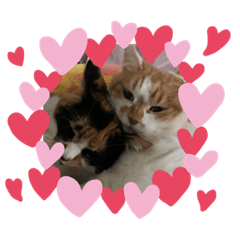 [LINEスタンプ] めめ×ぱん×らんฅ^.  ̫ .^ฅ