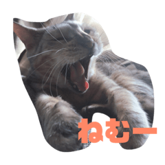 [LINEスタンプ] 歴代のねこたち