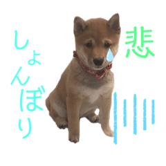 [LINEスタンプ] レアのスタンプII