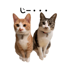 [LINEスタンプ] チャオとねね