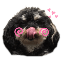 [LINEスタンプ] まろん、ぶんちゃん