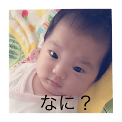 [LINEスタンプ] ちゃんここスタンプ