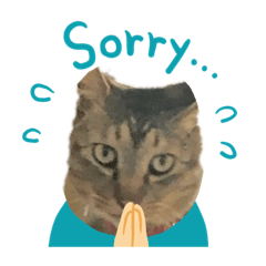 [LINEスタンプ] 普通のねこのふくまろ