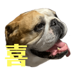 [LINEスタンプ] まりりんの気持ち