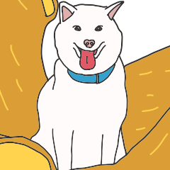 [LINEスタンプ] 白柴犬のおへんじ