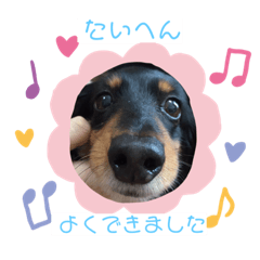 [LINEスタンプ] まいにちさくぴーこ