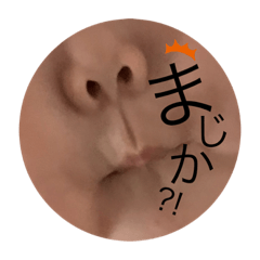[LINEスタンプ] 私とboyのまいにち2