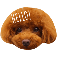 [LINEスタンプ] ぱわふるわんず