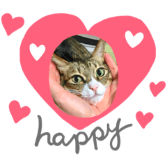 [LINEスタンプ] シエルたん♡