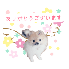 [LINEスタンプ] フランの使える？スタンプ