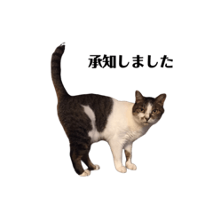 [LINEスタンプ] ぴいちゃんとぽき