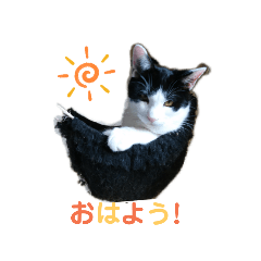 [LINEスタンプ] N's style #1