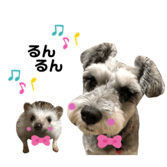 [LINEスタンプ] ポッケ ＆ モグ