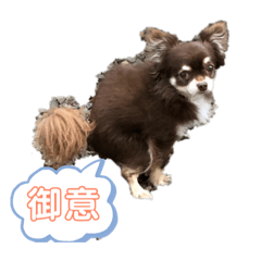 [LINEスタンプ] キャルとシンバ part 1