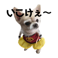 [LINEスタンプ] チップ スタンプ