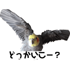[LINEスタンプ] 宙とん月