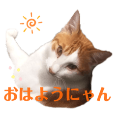 [LINEスタンプ] Milk Tea〜ミックくん♡/❶