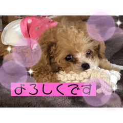 [LINEスタンプ] あさりはんスタンプ
