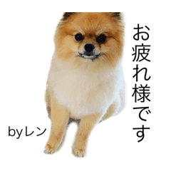[LINEスタンプ] 敬語と友達用レンくん