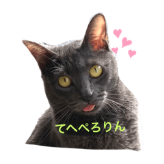 [LINEスタンプ] 猫のもずく1