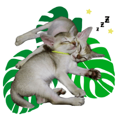 [LINEスタンプ] 猫舎尻尾 001