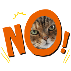 [LINEスタンプ] うちの猫( ^ω^ )