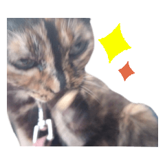 [LINEスタンプ] サビ猫のみーこスタンプその3