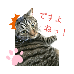 [LINEスタンプ] うめこ＆まめこのつぶやきII