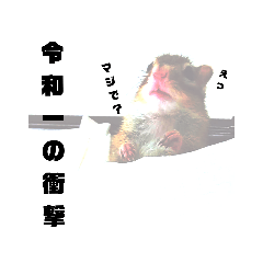 [LINEスタンプ] しまりすノアの日常スタンプ②