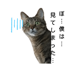 [LINEスタンプ] アニマルの一言