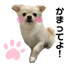 [LINEスタンプ] ロンチーのアルタン