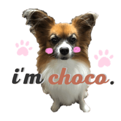 [LINEスタンプ] 毎日チョコたん