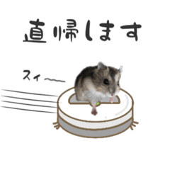 [LINEスタンプ] 家族で使えるハムスター生活1