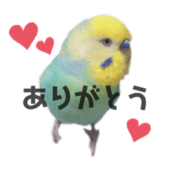 [LINEスタンプ] ぷっかスタンプ❤︎