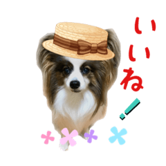 [LINEスタンプ] パビヨン ココア